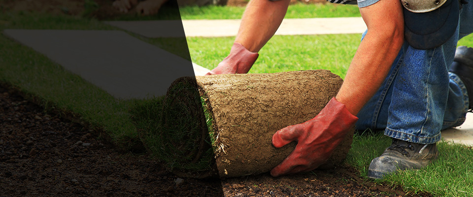 Dillsboro Landscapers